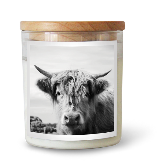 The Commonfolk scented clear glass jar candle has a wooden lid with a label featuring a black and white photo of a Highland cow's head.