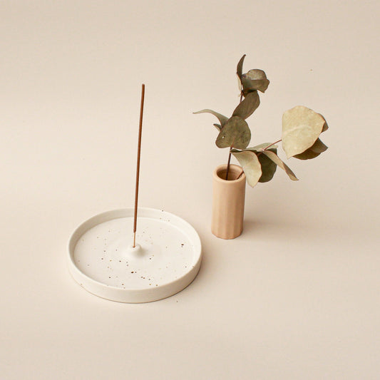 A vase containing a green plant alongside a round ceramic incense holder with a stick placed nearby.