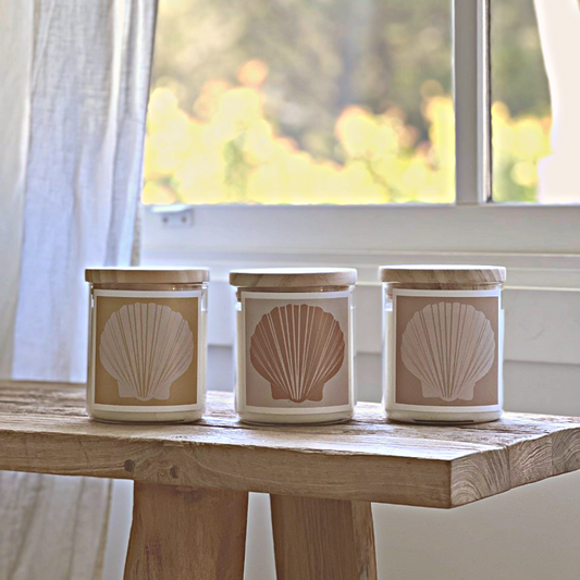 Fan Shell / Tan Candle