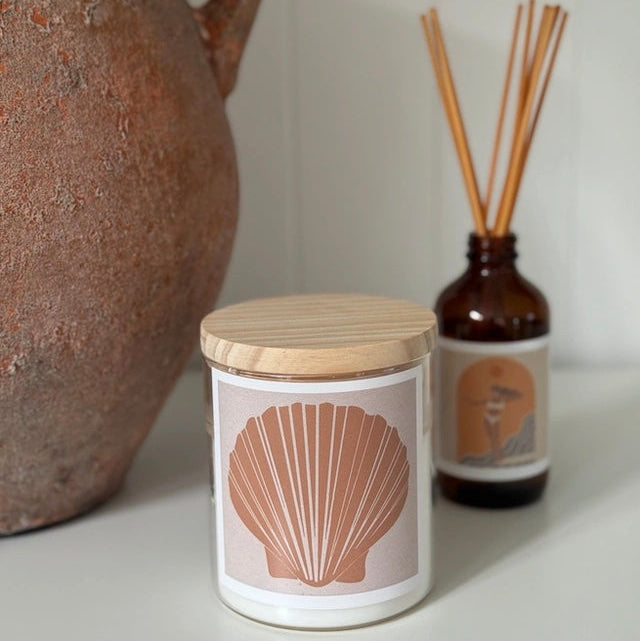 Fan Shell / Tan Candle
