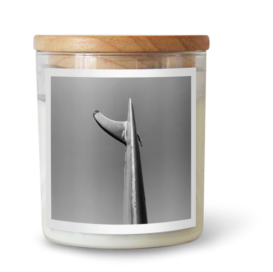 The Commonfolk scented candle comes in a clear glass jar with a label featuring a black and white image of a fin, topped with a wooden lid.