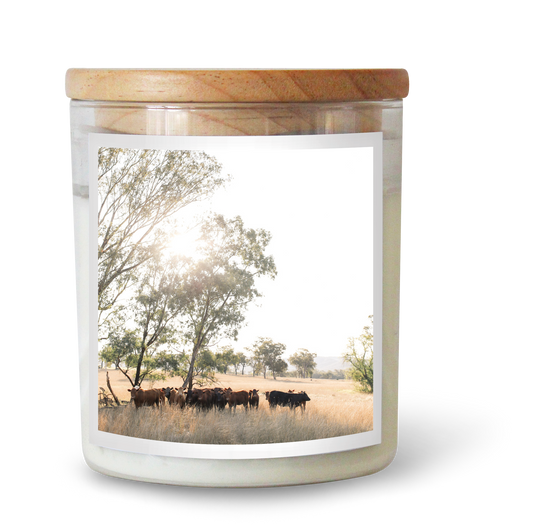 The Commonfolk scented candle features a label depicting a natural scene with trees and animals, topped with a wooden lid.