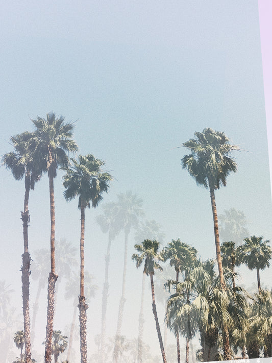 Sea Bones Palm Springs Soul Candle