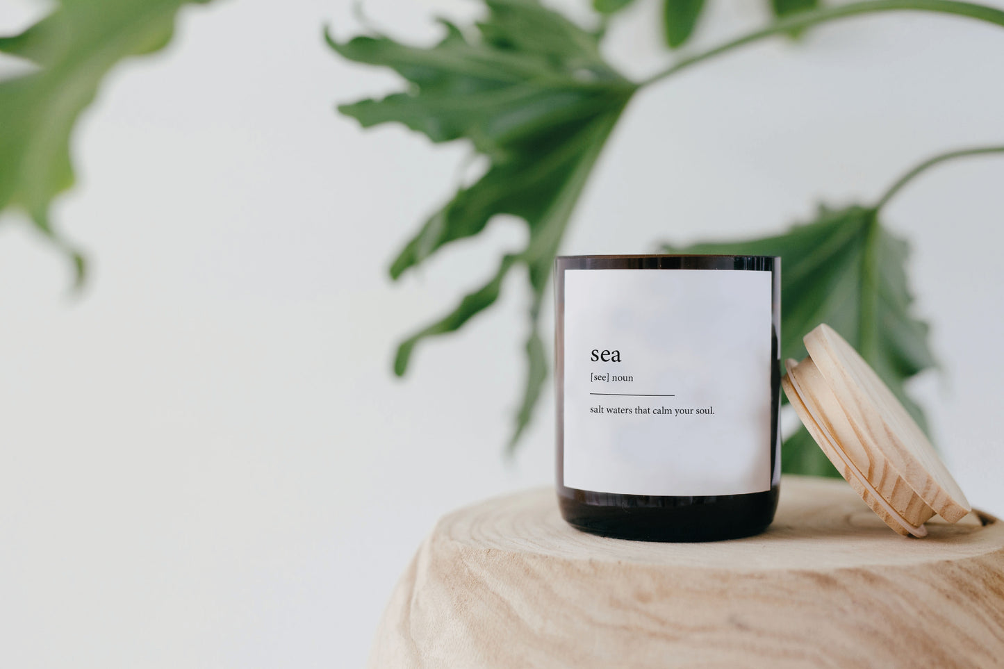 Dictionary Meaning Candle - sea