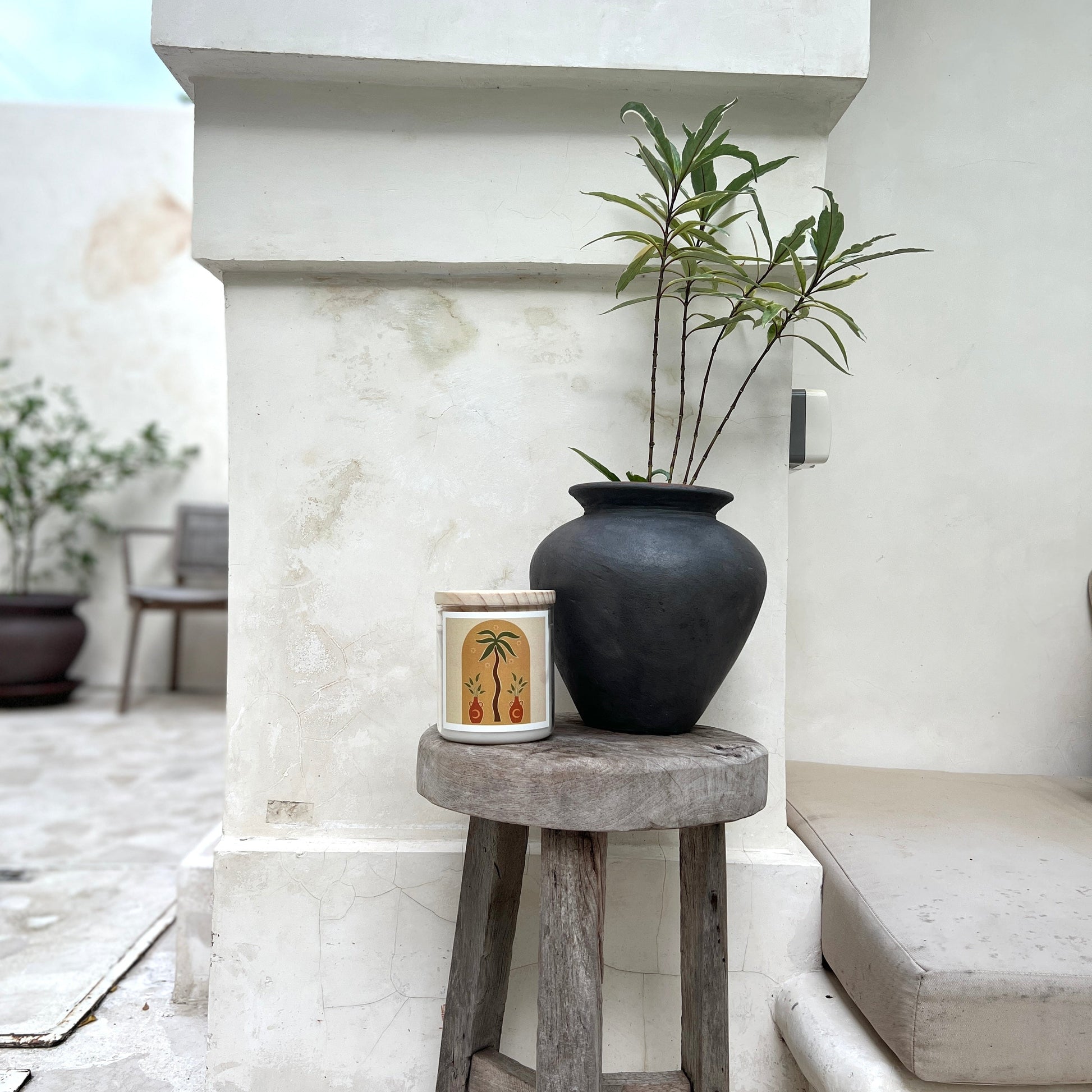 Candle with Black vase with a plant on a wooden stool against a white wall.