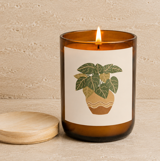 House Plants Candle - Wave