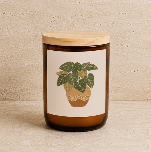 House Plants Candle - Wave
