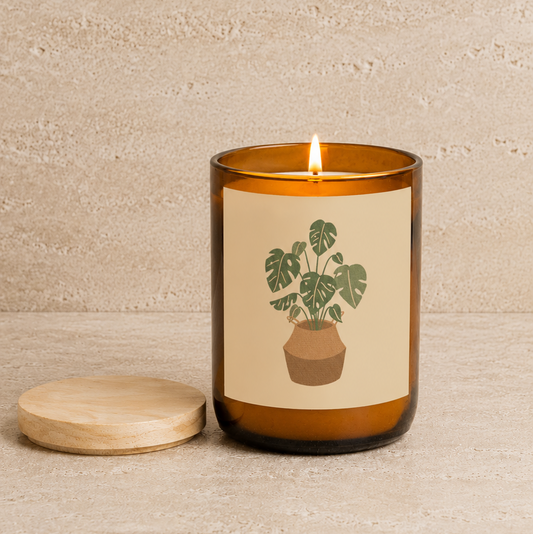 House Plants Candle - Monstera