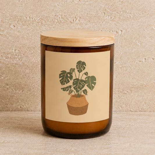 House Plants Candle - Monstera