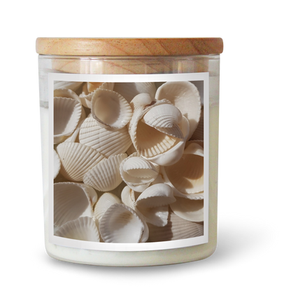 The Commonfolk scented candle comes in a clear container filled with seashells and is topped with a wooden lid.