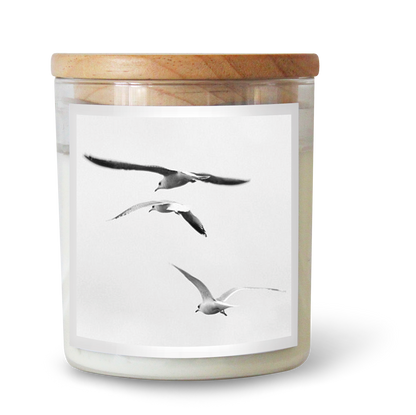 The Commonfolk scented candle, with a clear container and a wooden lid, features an image of gulls in flight.